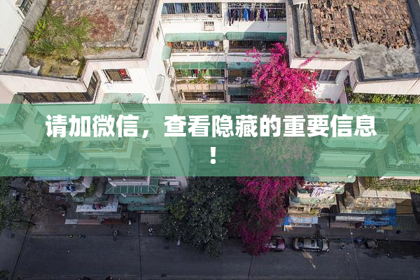 请加微信，查看隐藏的重要信息！