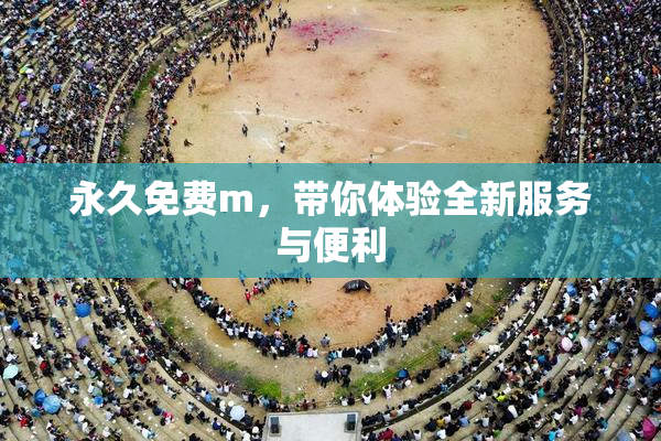 永久免费m，带你体验全新服务与便利