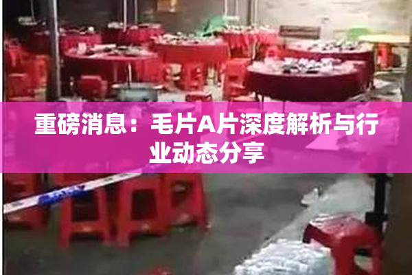 重磅消息：毛片A片深度解析与行业动态分享