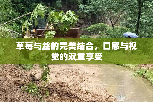 草莓与丝的完美结合，口感与视觉的双重享受