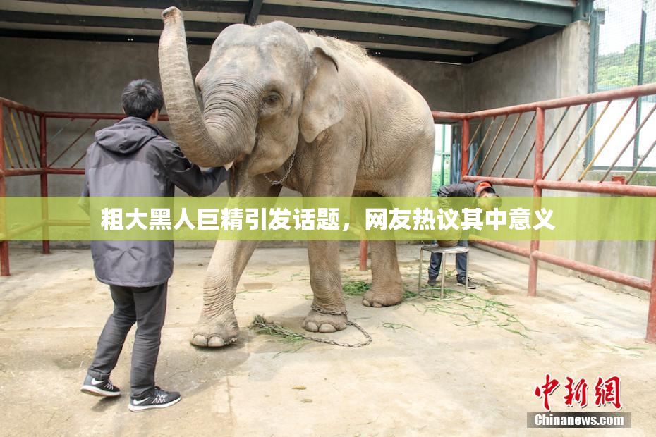 粗大黑人巨精引发话题，网友热议其中意义