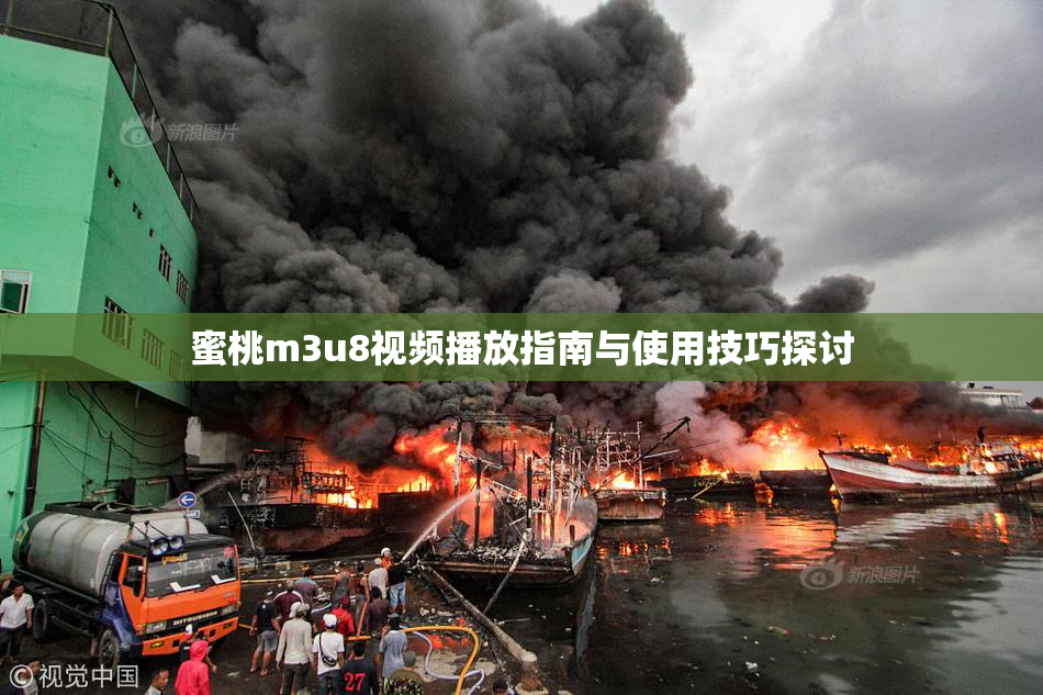 蜜桃m3u8视频播放指南与使用技巧探讨