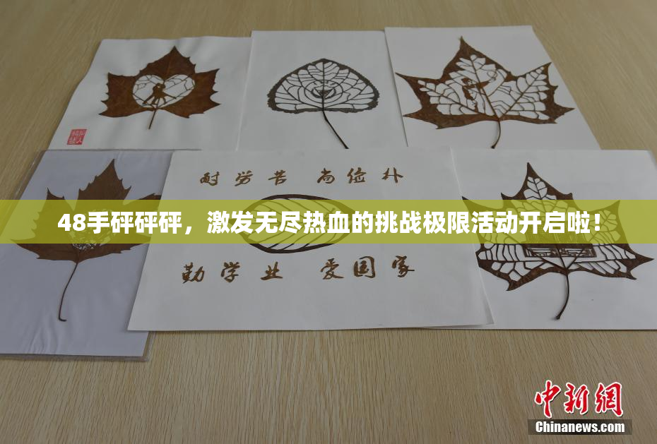 48手砰砰砰，激发无尽热血的挑战极限活动开启啦！