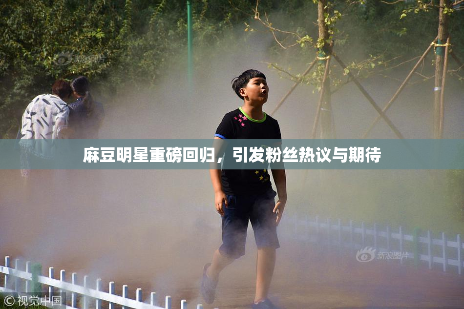 麻豆明星重磅回归，引发粉丝热议与期待