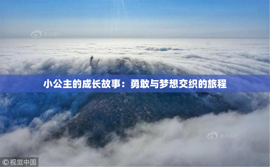 小公主的成长故事：勇敢与梦想交织的旅程