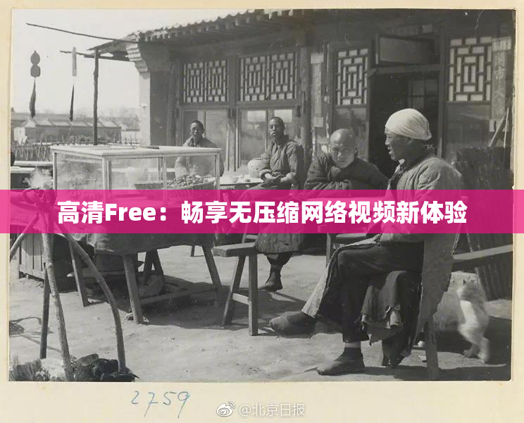 高清Free：畅享无压缩网络视频新体验