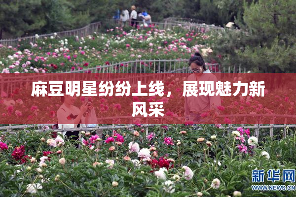麻豆明星纷纷上线，展现魅力新风采