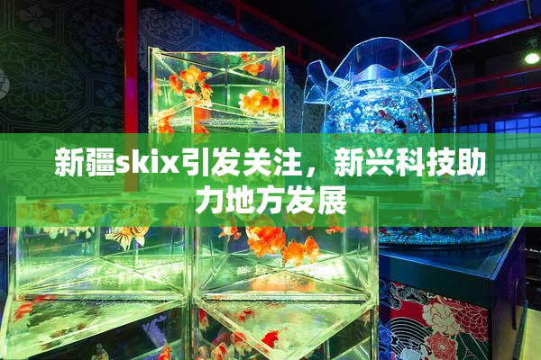 新疆skix引发关注，新兴科技助力地方发展