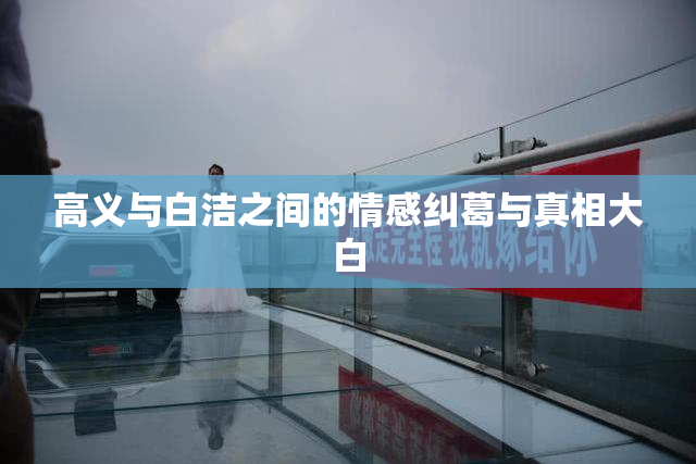 高义与白洁之间的情感纠葛与真相大白