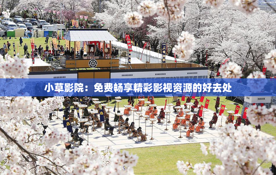 小草影院：免费畅享精彩影视资源的好去处