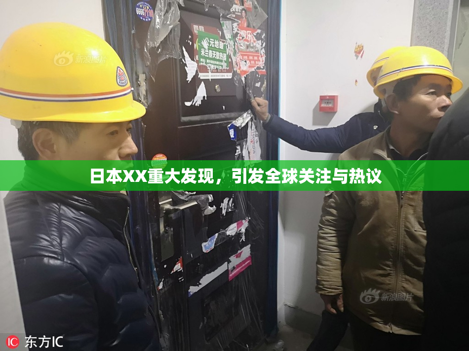 日本XX重大发现，引发全球关注与热议