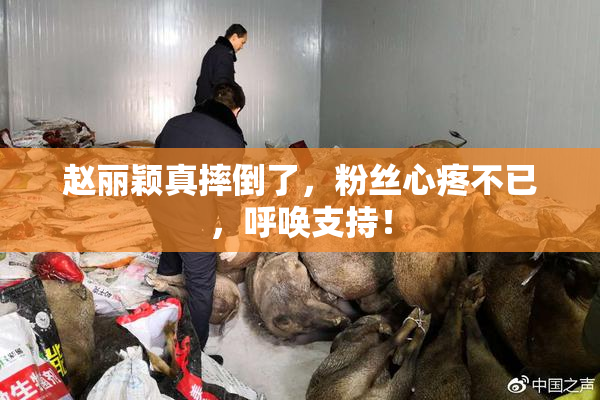 赵丽颖真摔倒了，粉丝心疼不已，呼唤支持！