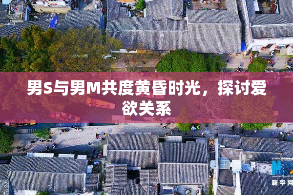 男S与男M共度黄昏时光，探讨爱欲关系