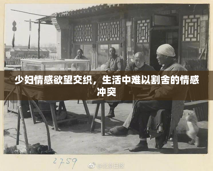 少妇情感欲望交织，生活中难以割舍的情感冲突