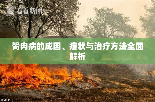 胬肉病的成因、症状与治疗方法全面解析